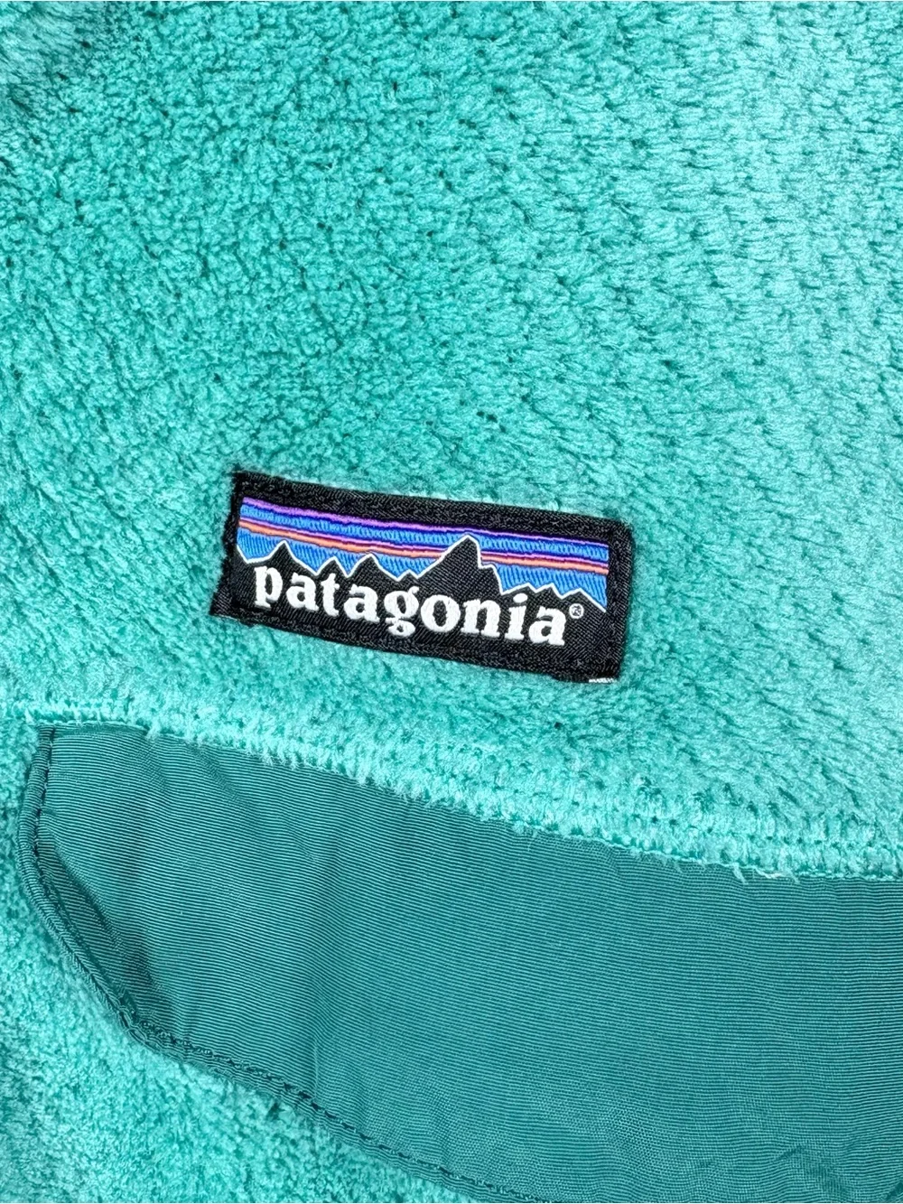 Patagonia plush fleece